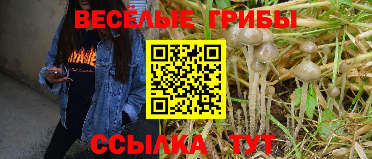 Галлюциногенные грибы Psilocybine cubensis  Вход с VPN  Егорьевск 